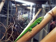 04162011_San Francisco_98